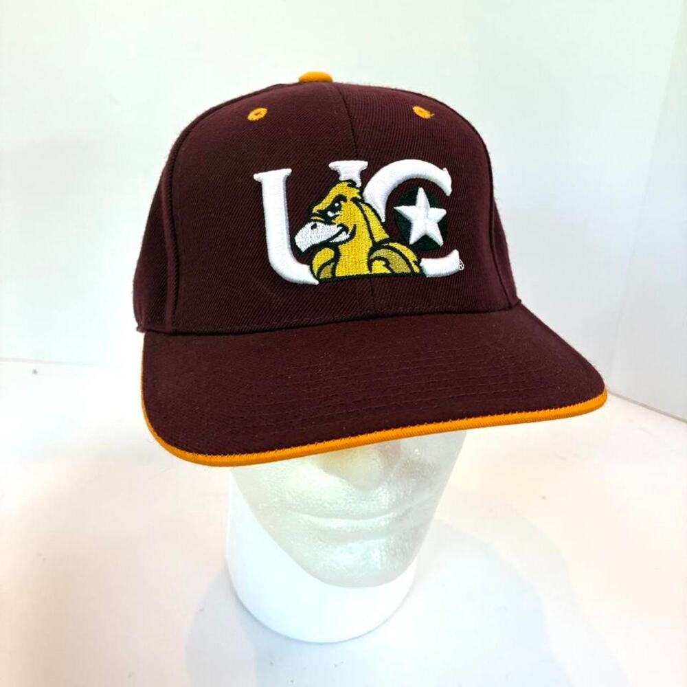 Vintage 90s UC University Of Chicago Phil The Phoenix Steve And Barry Athletics
